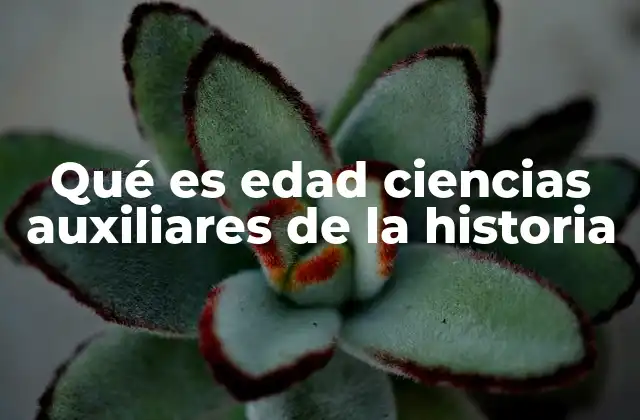 Qué es Edad Ciencias Auxiliares de la Historia