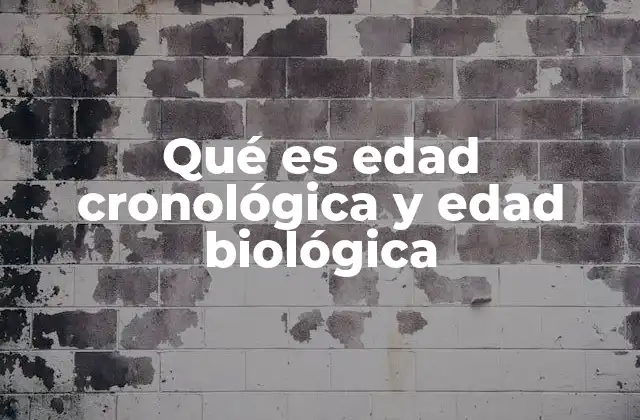 La diferencia entre los conceptos de envejecimiento