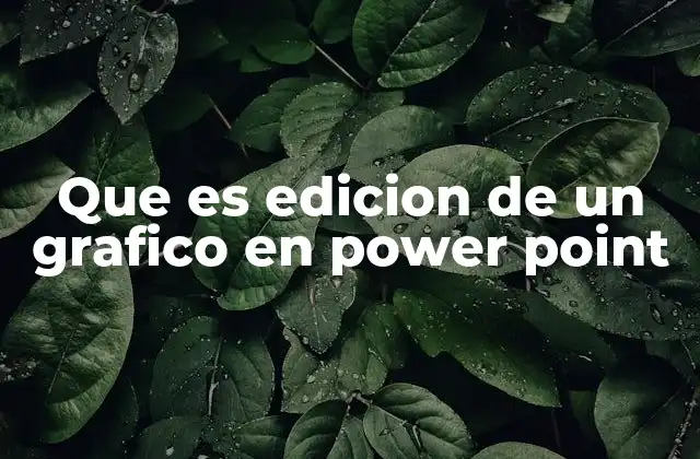 Que es Edicion de un Grafico en Power Point