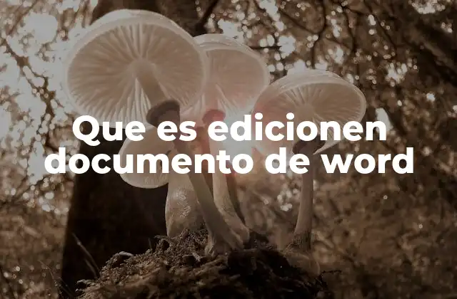 Que es Edicionen Documento de Word