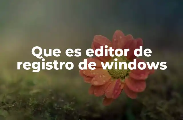 Que es Editor de Registro de Windows