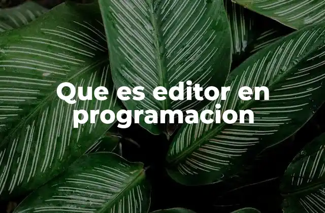 Que es Editor en Programacion