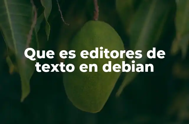 Que es Editores de Texto en Debian 2 Herramientas esenciales en el ecosistema Debian