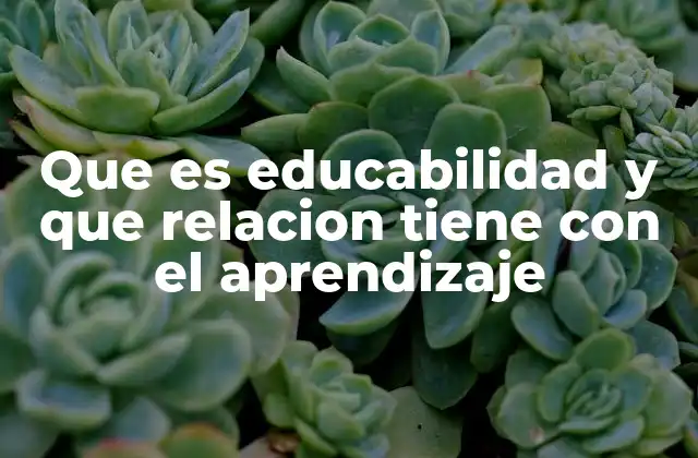 Que es Educabilidad y que Relacion Tiene con el Aprendizaje