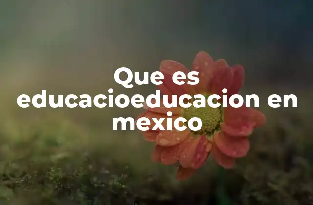 Que es Educacioeducacion en Mexico