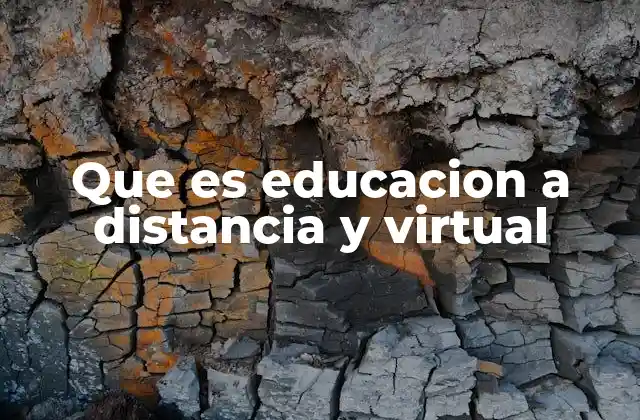 Que es Educacion a Distancia y Virtual