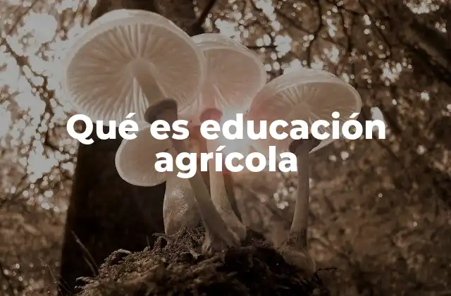 Qué es Educación Agrícola 2 La importancia de la formación en el sector rural