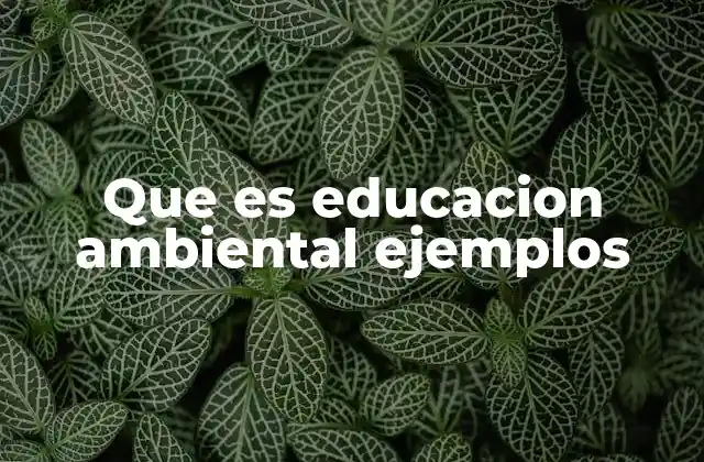El papel de la educación ambiental en la formación ciudadana