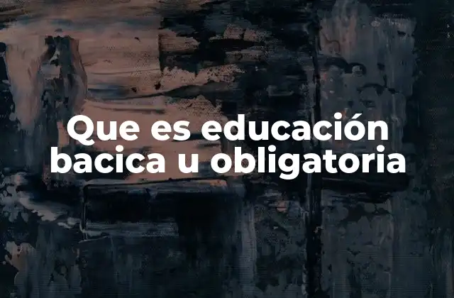 Que es Educación Bacica u Obligatoria
