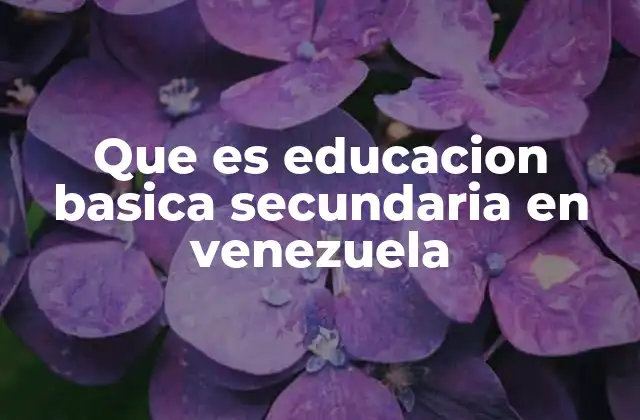 Que es Educacion Basica Secundaria en Venezuela