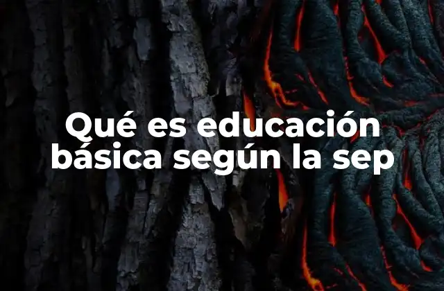 Qué es Educación Básica según la Sep