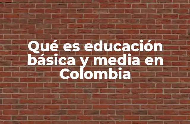 La importancia de la educación básica y media en el desarrollo personal y social