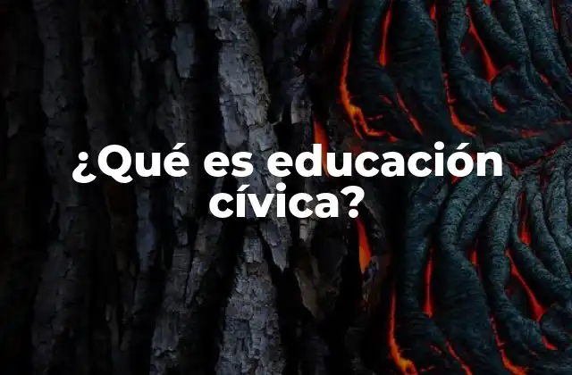 La importancia de entender los fundamentos de la educación cívica