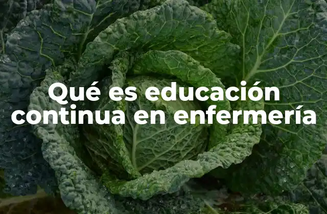 Qué es Educación Continua en Enfermería 2 La importancia de la formación permanente para profesionales de la salud