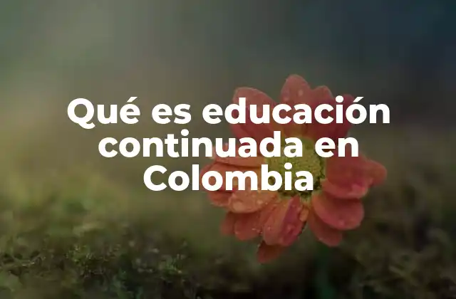 Qué es Educación Continuada en Colombia