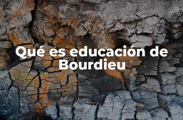 Qué es Educación de Bourdieu