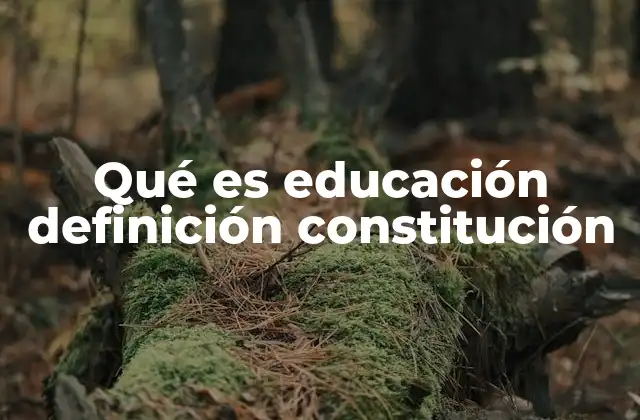 Qué es Educación Definición Constitución
