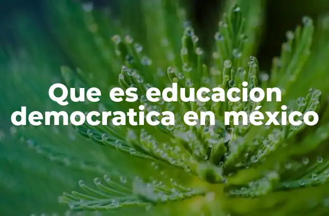 Que es Educacion Democratica en México
