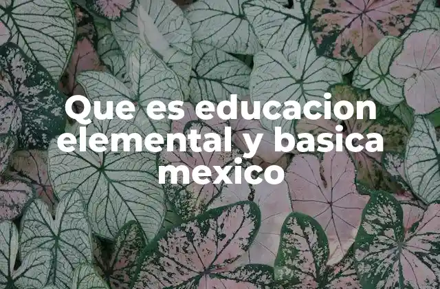 Que es Educacion Elemental y Basica Mexico