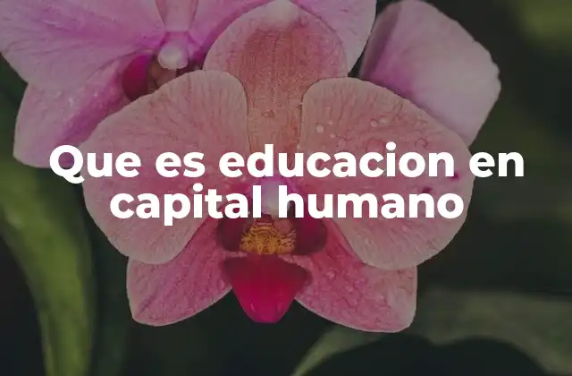 Que es Educacion en Capital Humano