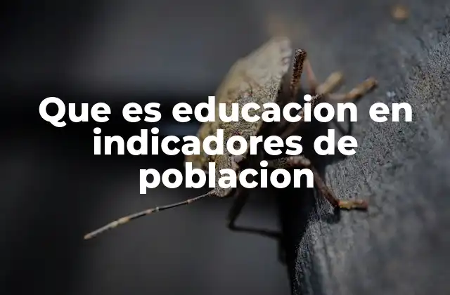Que es Educacion en Indicadores de Poblacion