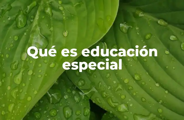 Qué es Educación Especial