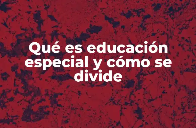 Cómo la educación especial se integra en el sistema escolar