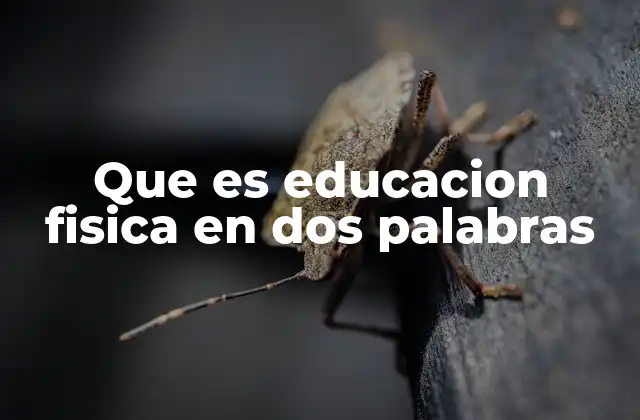 Que es Educacion Fisica en Dos Palabras