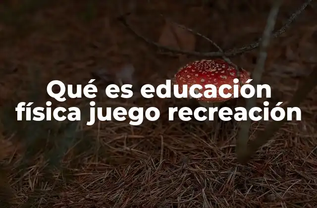 Qué es Educación Física Juego Recreación