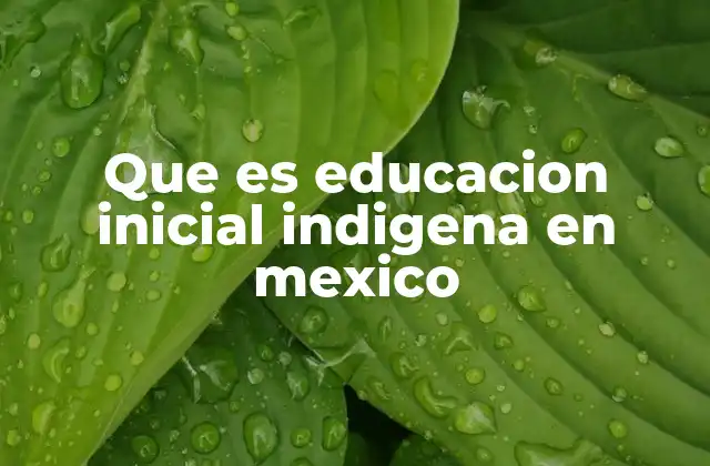 Que es Educacion Inicial Indigena en Mexico
