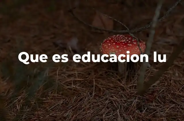 Que es Educacion Lu