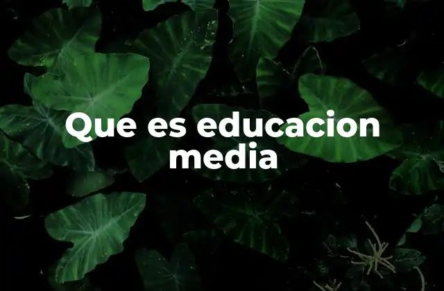 Que es Educacion Media