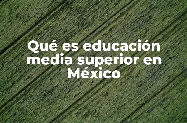Qué es Educación Media Superior en México