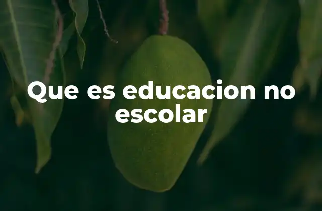 Que es Educacion No Escolar