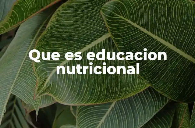 Que es Educacion Nutricional