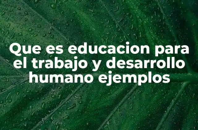 Que es Educacion para el Trabajo y Desarrollo Humano Ejemplos