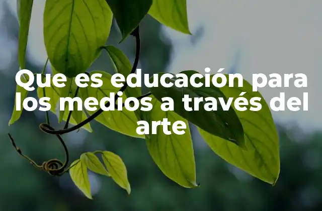 Que es Educación para los Medios a Través Del Arte