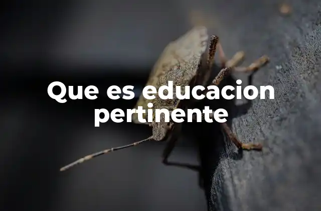 Que es Educacion Pertinente