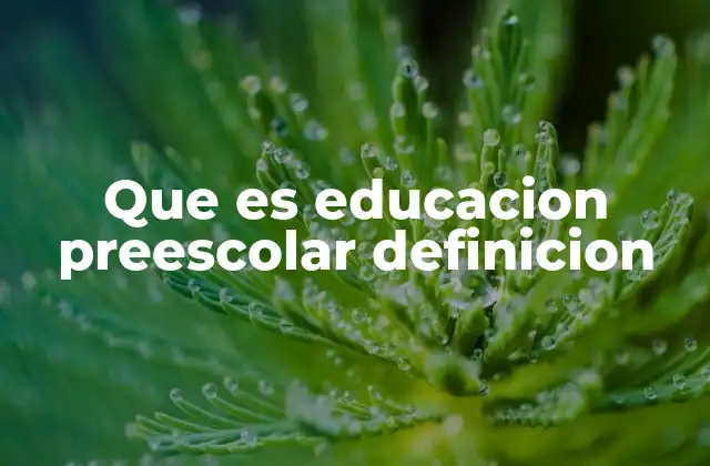 Que es Educacion Preescolar Definicion