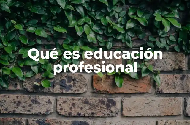 Qué es Educación Profesional