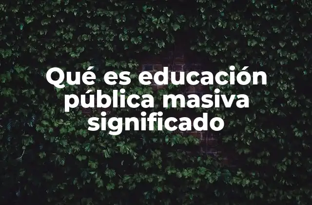 Qué es Educación Pública Masiva Significado
