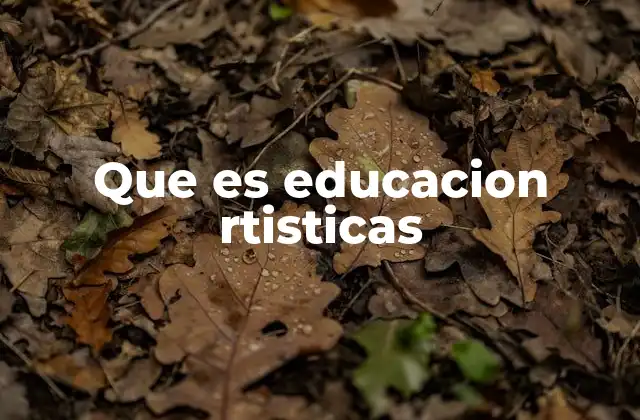 Que es Educacion Rtisticas