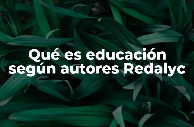 Qué es Educación según Autores Redalyc