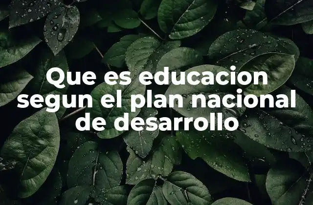 La educación como eje transversal del desarrollo nacional