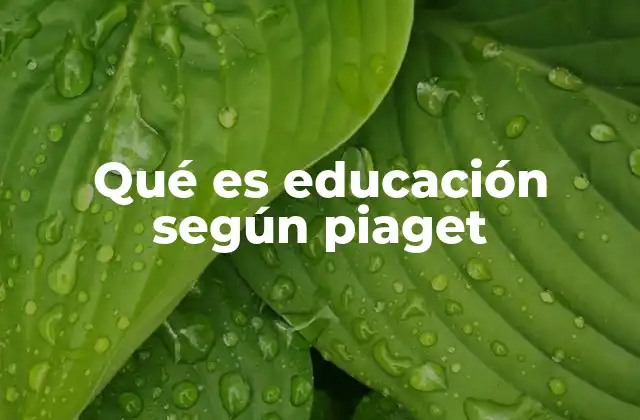 Qué es Educación según Piaget