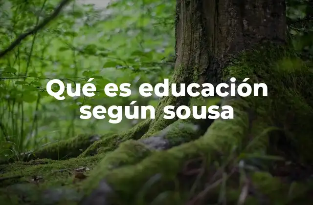 Qué es Educación según Sousa
