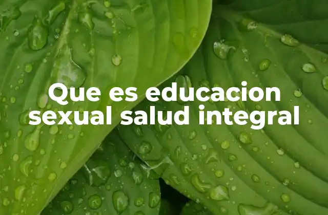 Que es Educacion Sexual Salud Integral