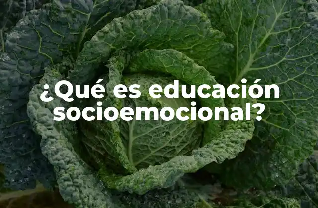 El impacto de las habilidades socioemocionales en el desarrollo humano