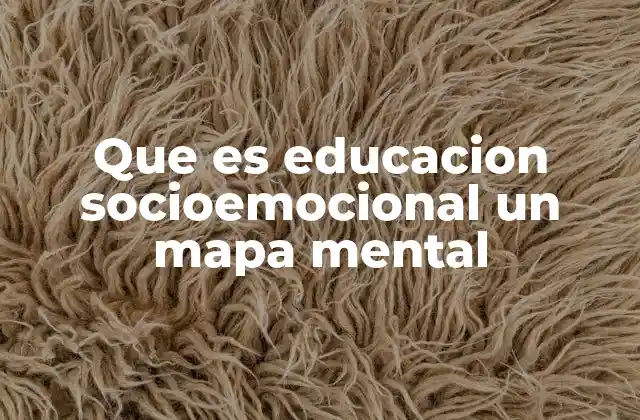 Que es Educacion Socioemocional un Mapa Mental