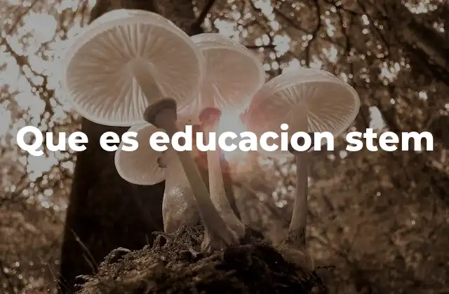 Que es Educacion Stem